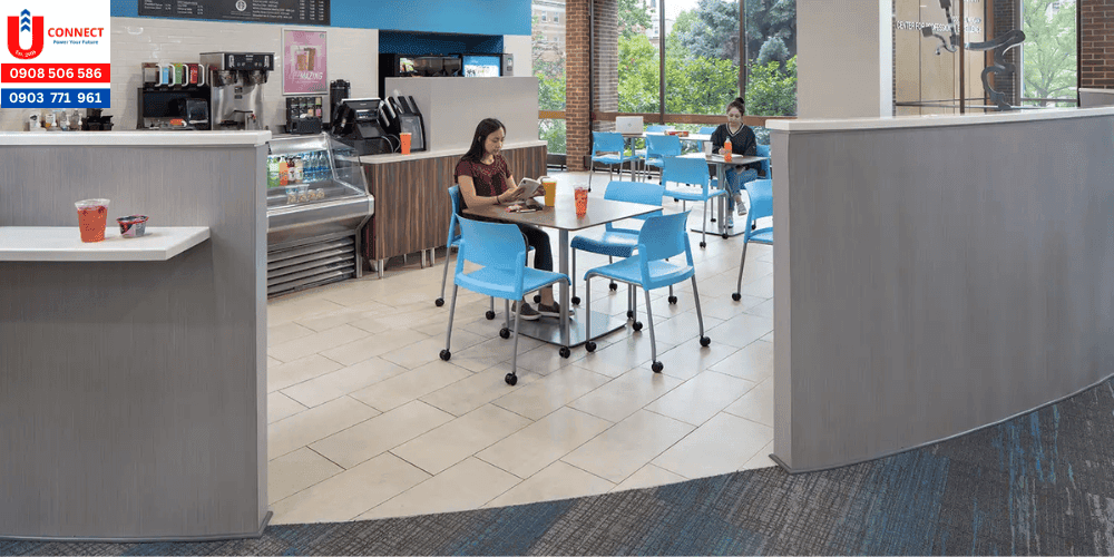 Giới thiệu về đại học Elmhurst, bang Illinois, Mỹ và chương trình học của trường